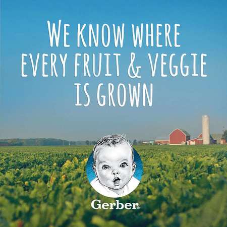 Gerber Gerber 2nd Foods Pear Baby Food Kosher 4 oz., PK16 00015000076566